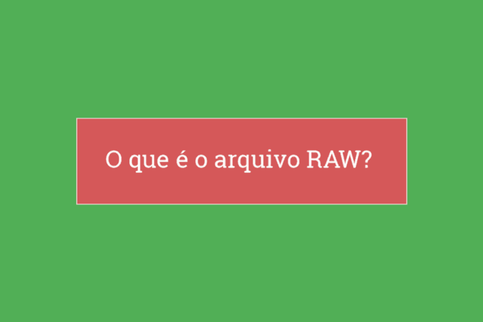 RAW vs JPEG: O que é RAW?