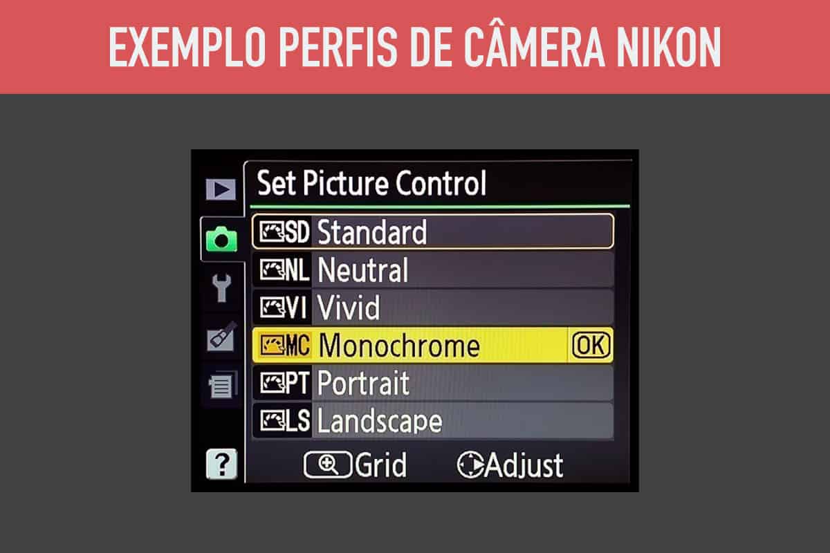 Perfis câmera Nikon