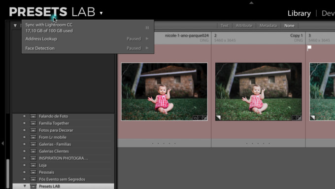 Instalar Presets Lightroom Mobile 1